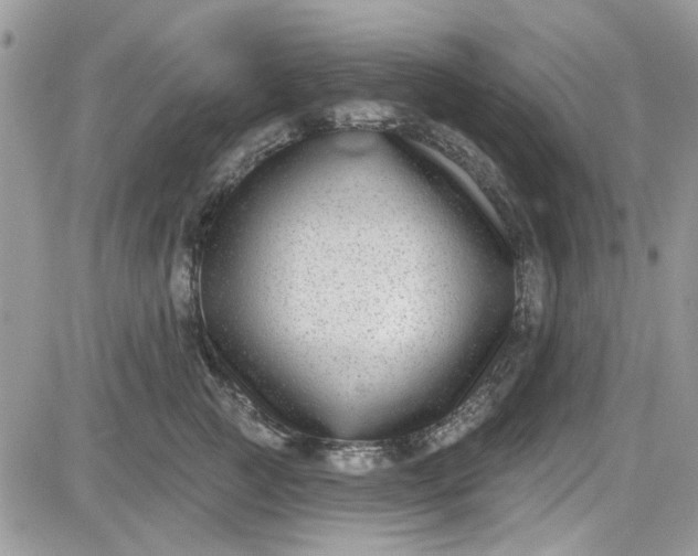 X0000081580761200701291240