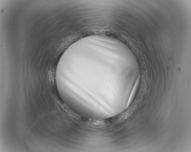X0000081580768200701291240
