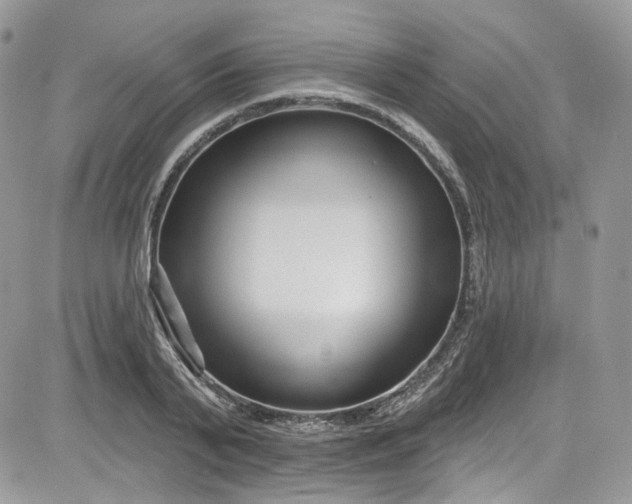 X0000081580791200701291239