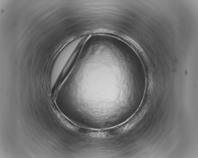 X0000081580793200701291239