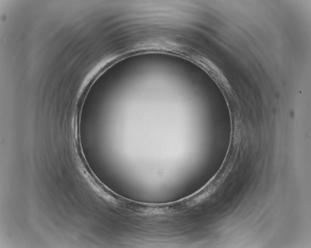 X0000081580796200701291239