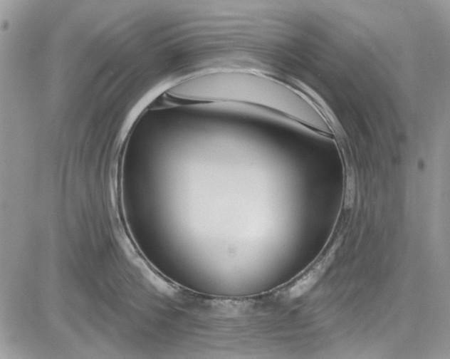 X0000081580812200701291238