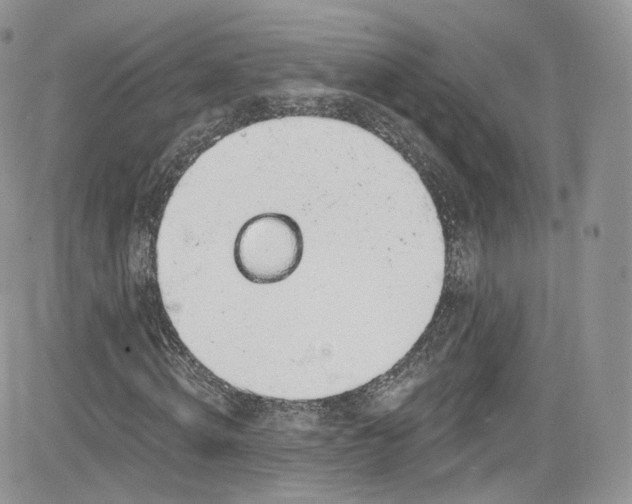 X0000081580820200701291238