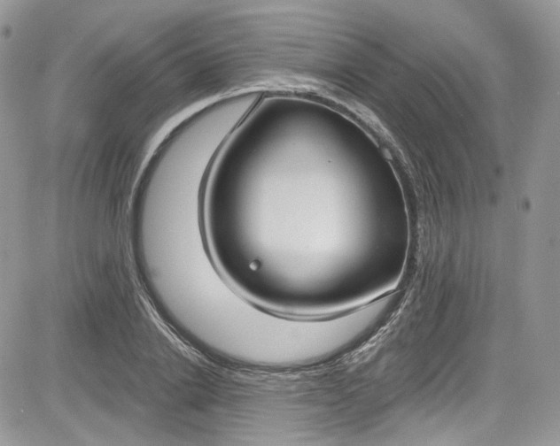 X0000081580838200701291238