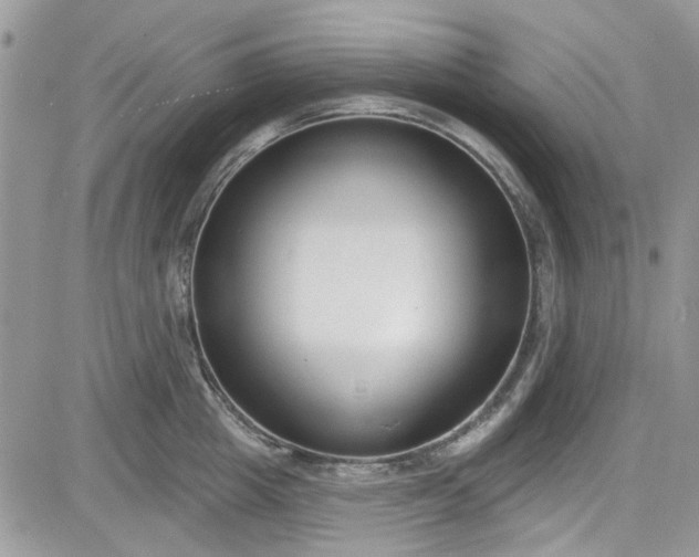 X0000081580857200701291238
