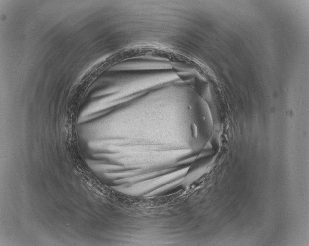 X0000081580872200701291237