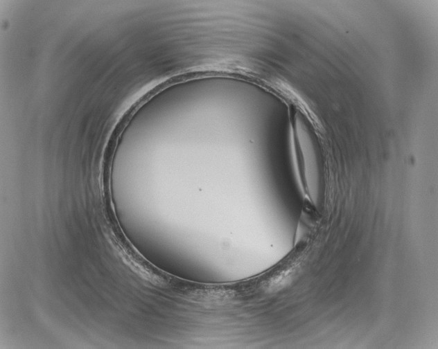 X0000081580884200701291237