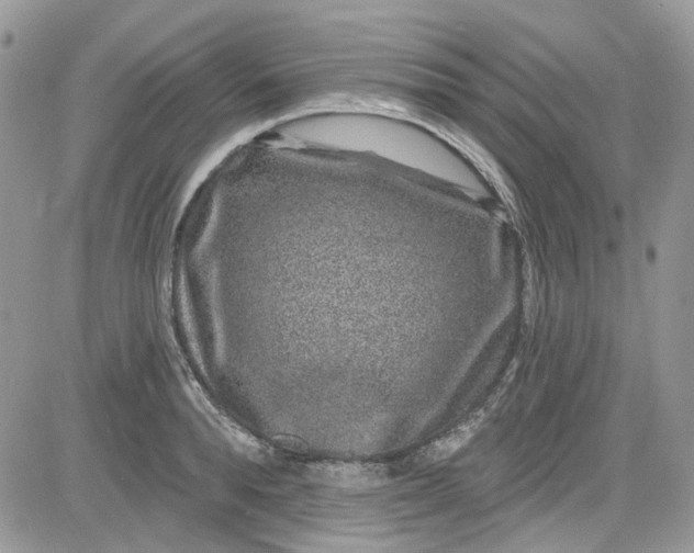X0000081580896200701291237