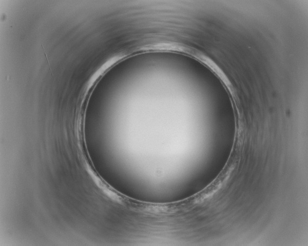 X0000081580909200701291237