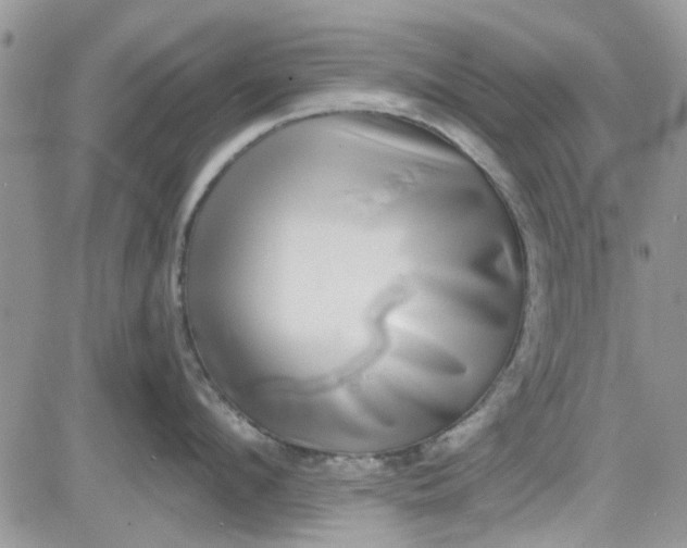 X0000081580912200701291237