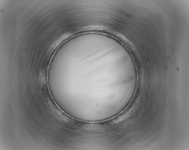 X0000081580929200701291236