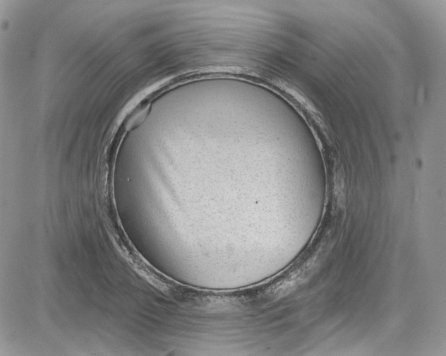 X0000081580933200701291236