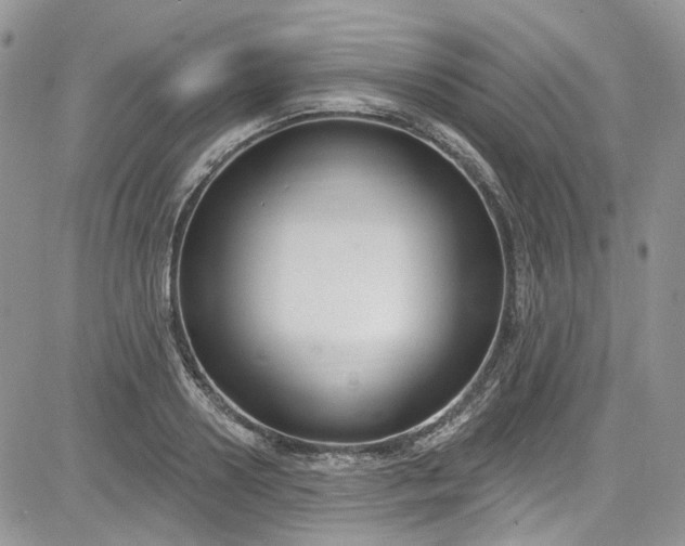 X0000081580938200701291236