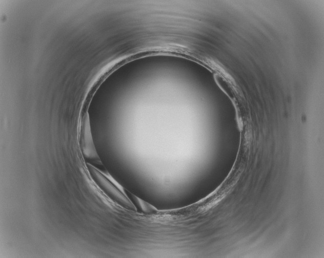 X0000081580940200701291236