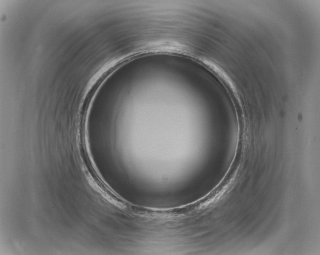 X0000081580941200701291236