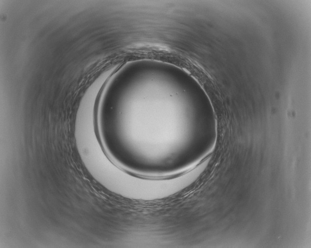 X0000081580965200701291236