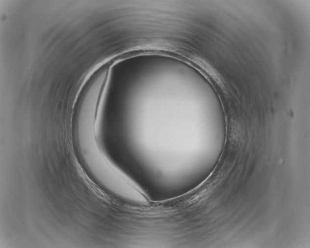 X0000081580980200701291236