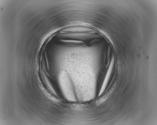 X0000081580987200701291235