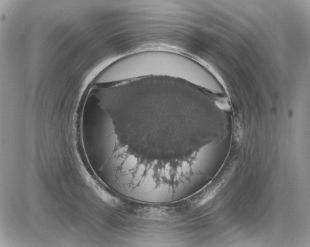 X0000081580995200701291235