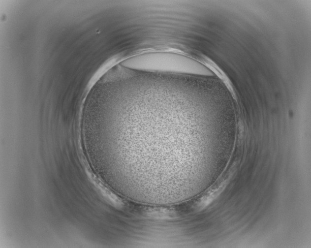 X0000081581002200701291235