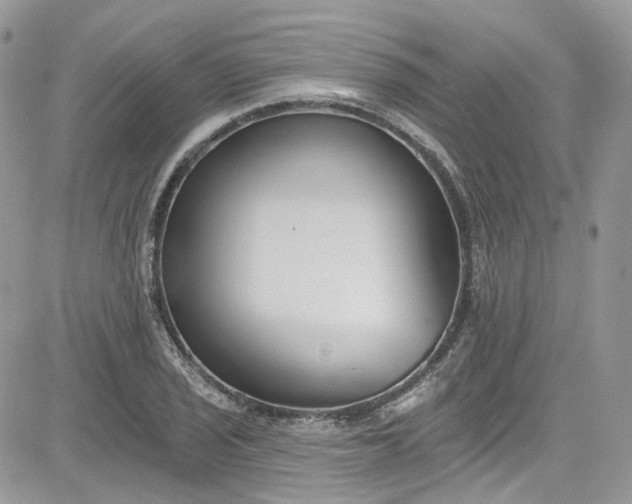 X0000081581029200701291235
