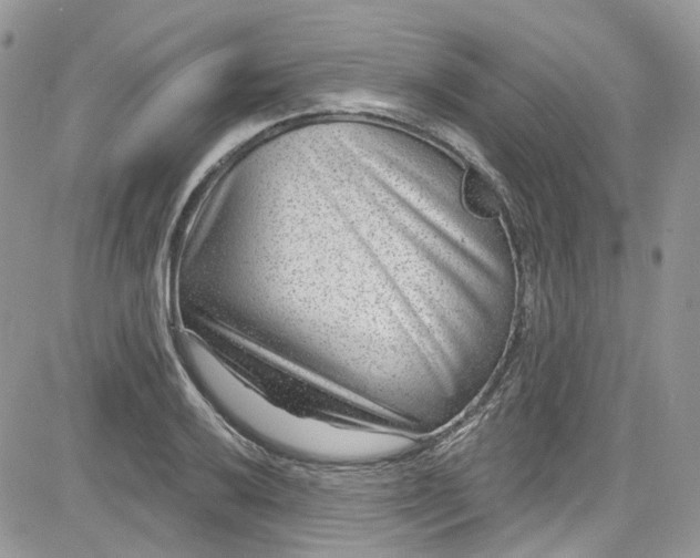 X0000081581032200701291235