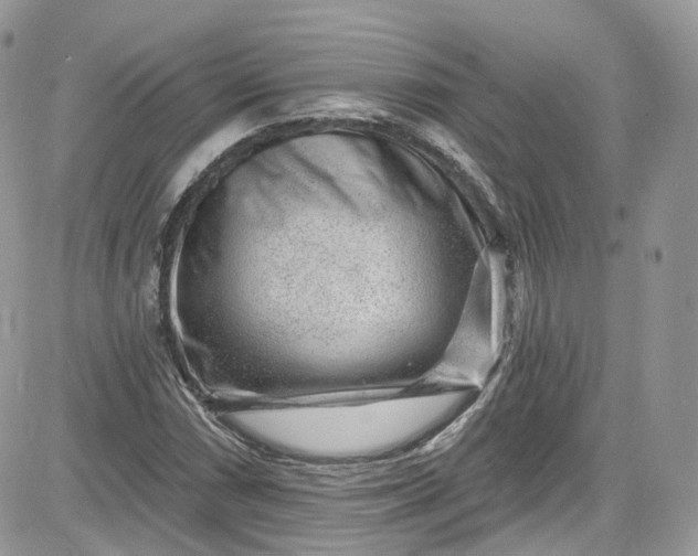 X0000081581066200701291234