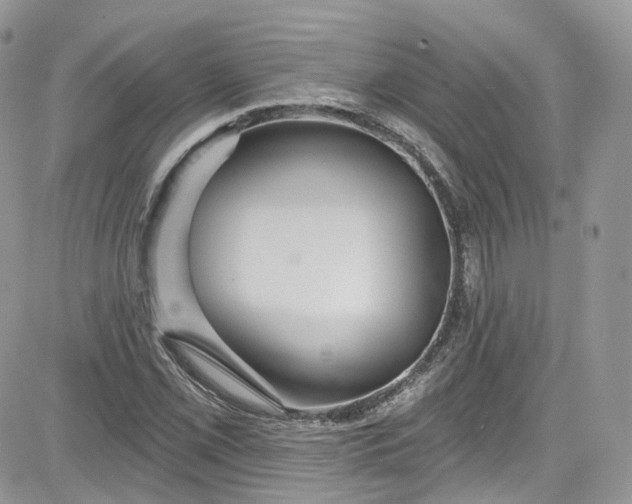 X0000081581069200701291234