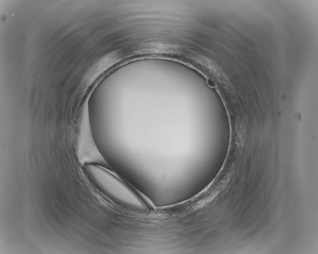 X0000081581073200701291234