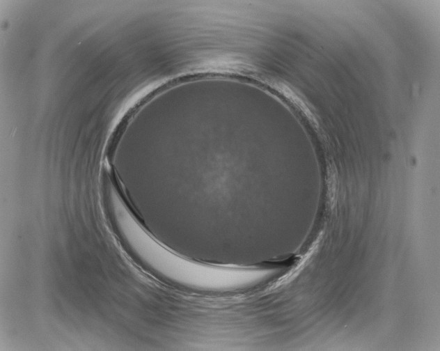 X0000081581077200701291234