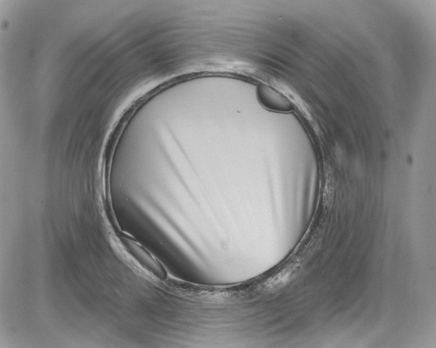X0000081581080200701291234