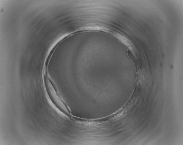 X0000081581084200701291234