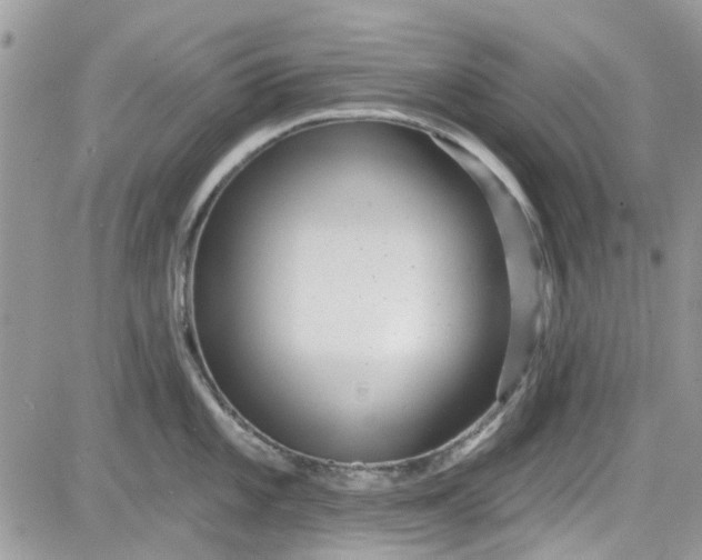 X0000081581101200701291234