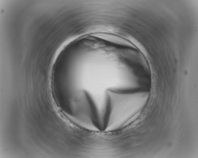 X0000081581104200701291234