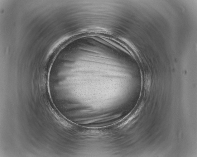 X0000081581115200701291233