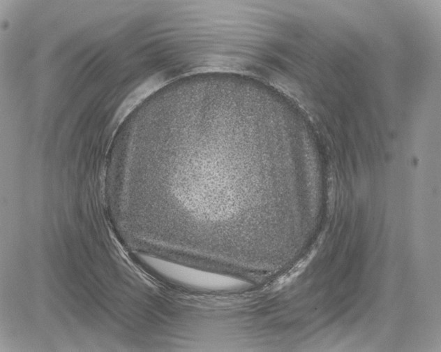 X0000081581121200701291233