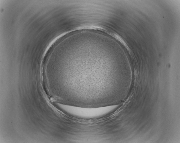 X0000081581124200701291233