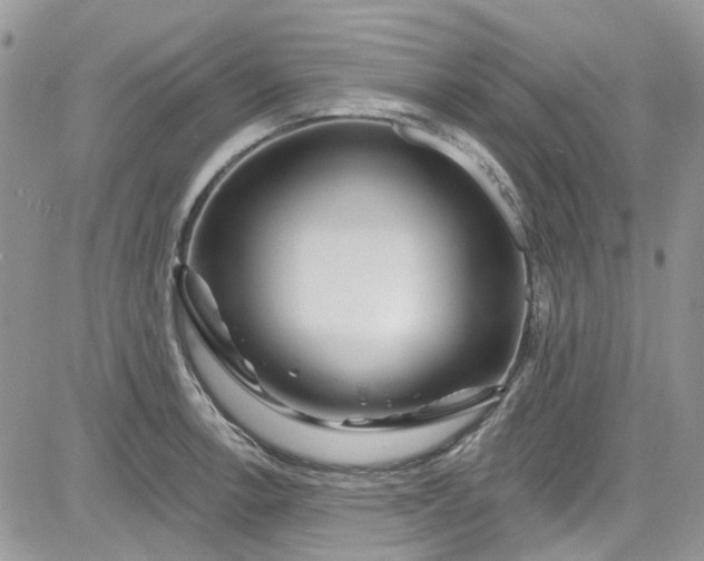 X0000081581138200701291233