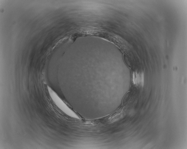 X0000081581155200701291233