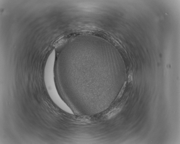 X0000081581156200701291233