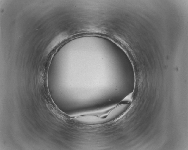 X0000081581163200701291233