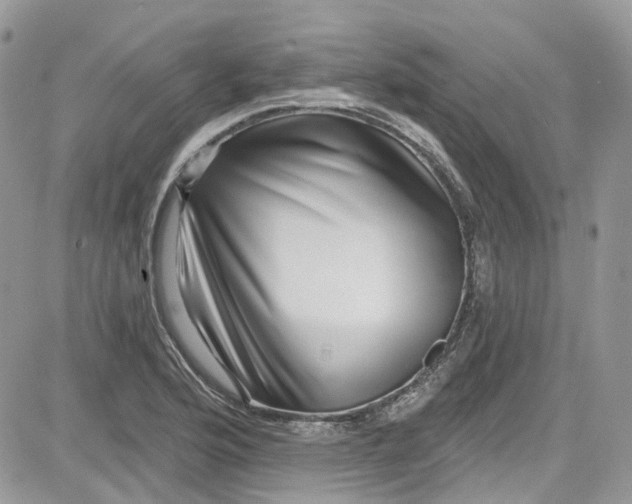 X0000081581176200701291232