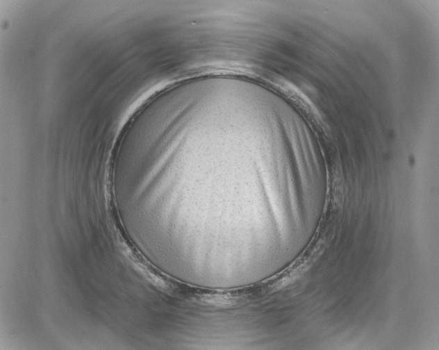 X0000081581182200701291232