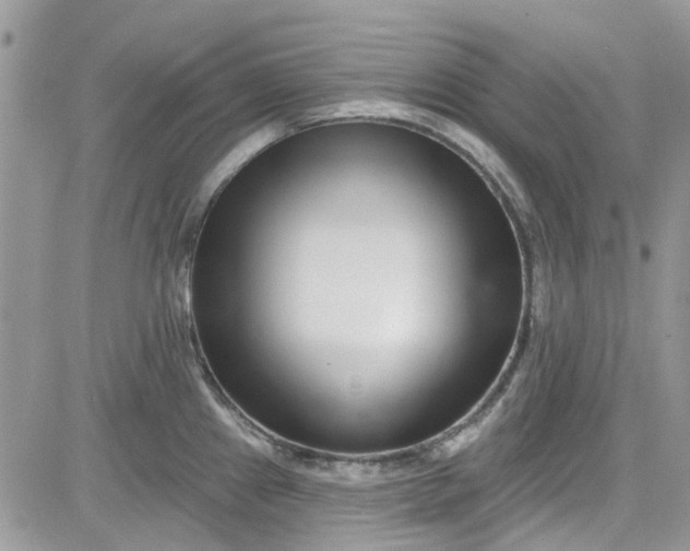 X0000081581241200701291232