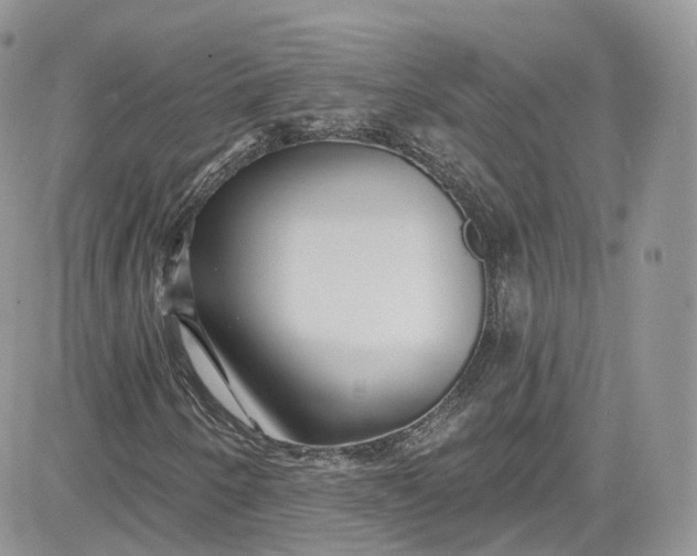 X0000081581250200701291231