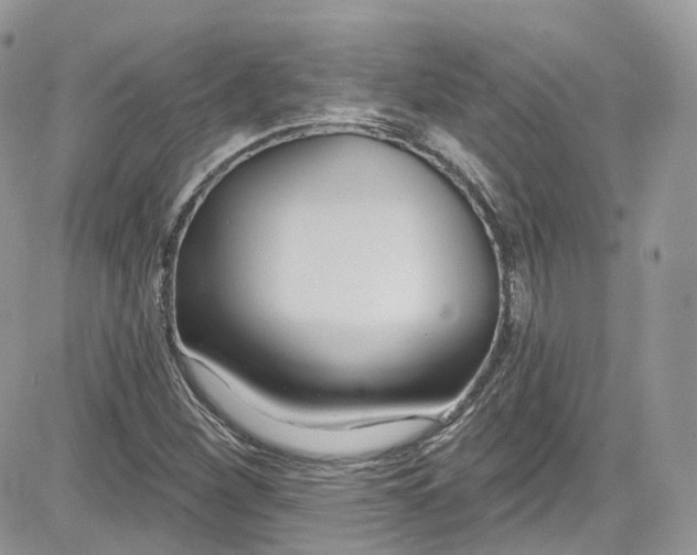 X0000081581260200701291231