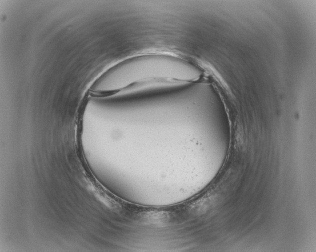 X0000081581268200701291231