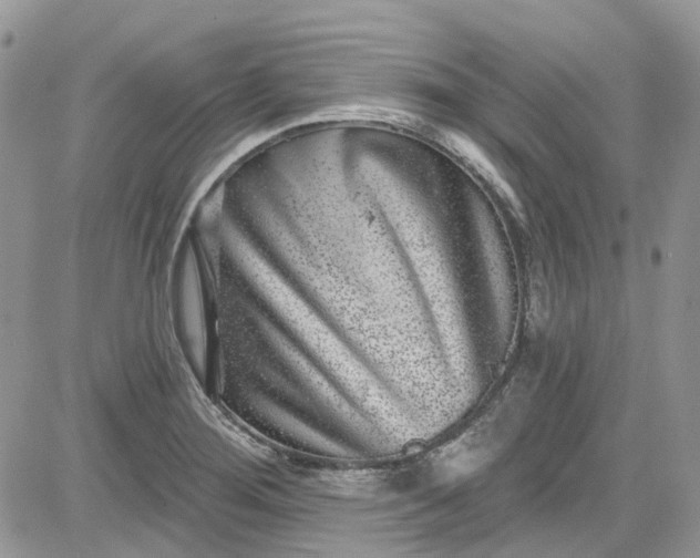 X0000081581276200701291231