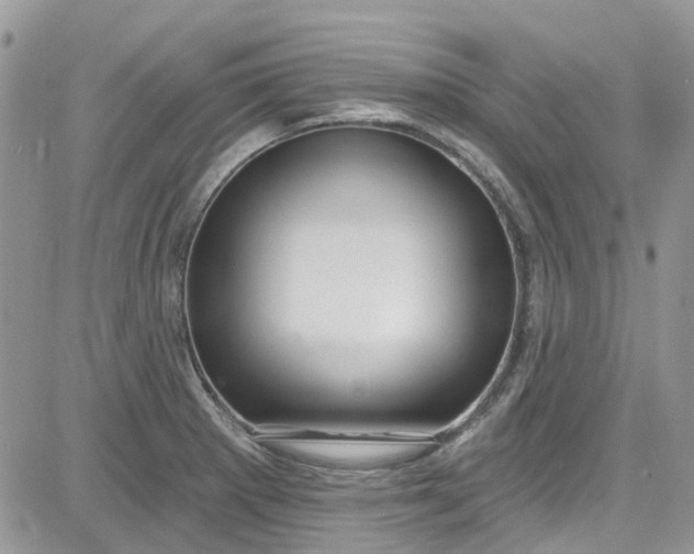 X0000081581281200701291231