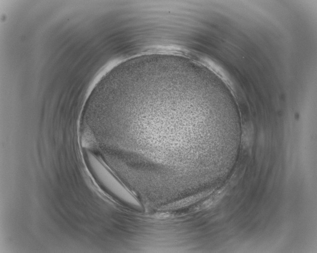 X0000081581283200701291231